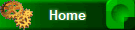 Home SSCV Corporation 